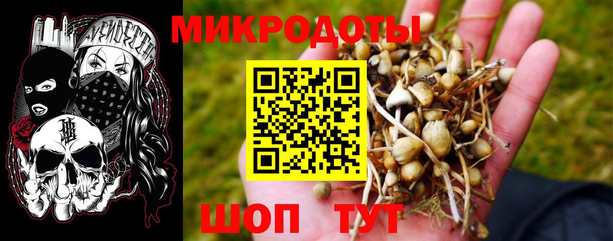 Псилоцибиновые грибы MAGIC MUSHROOMS  Вход с VPN  Красногорск 